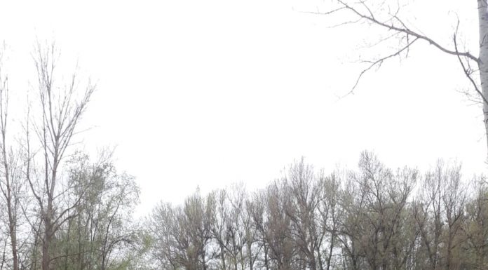 FOTO: Pod prăbuşit la Stoina