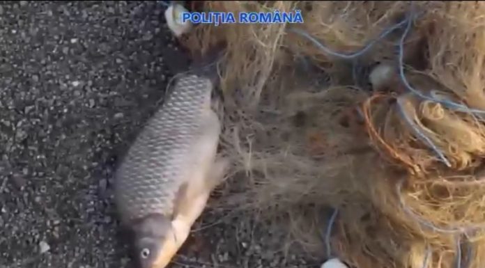 Cercetați după o partidă ilegală de pescuit