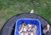 FOTO: Bărbat prins în timp ce pescuia în perioada de prohibiție