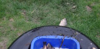 La pescuit cu setca, în perioada de prohibiție