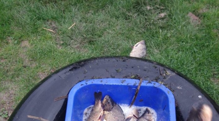 La pescuit cu setca, în perioada de prohibiție