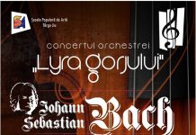 Mâine, un nou concert cameral al „Lyrei Gorjului”