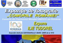 Astăzi, vernisajul expoziţiei „Comorile României”, la Muzeul Judeţean Gorj