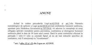 Rovinărenii, avertizaţi cu privire la eradicarea ambroziei