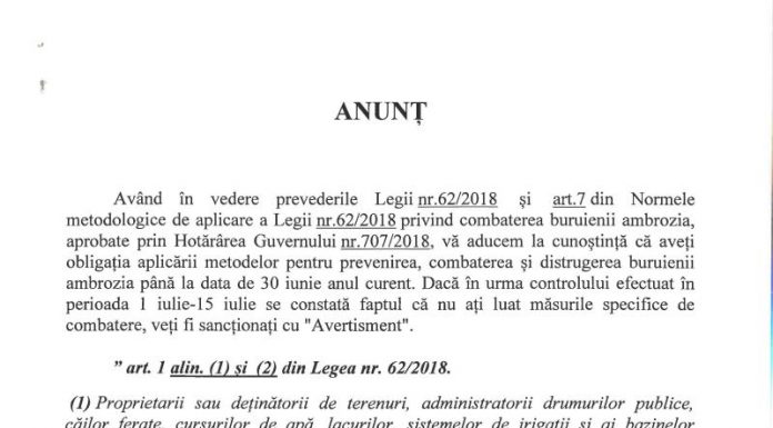 Rovinărenii, avertizaţi cu privire la eradicarea ambroziei