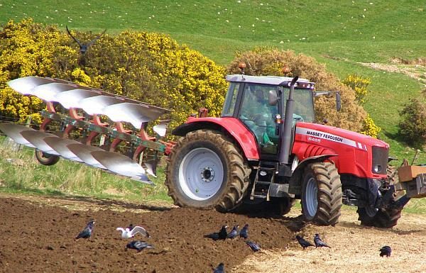 Agricultura pe înțelesul tuturor – Pregătirea patului germinativ în primăvară ploioasă