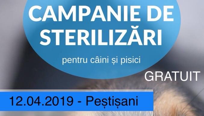 Campanie de sterilizare gratuită pentru patrupede, la Peştişani
