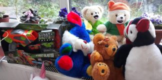 Cadrele didactice de la Novaci, alături de Campania Gorjeanul!