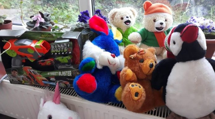 Cadrele didactice de la Novaci, alături de Campania Gorjeanul!