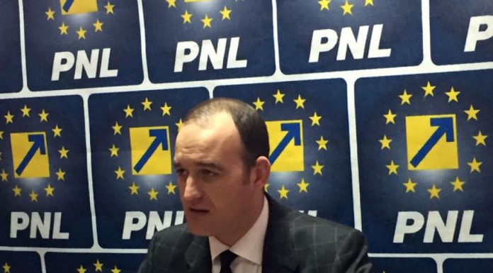 Deputatul Vîlceanu, vizită oficială în Lituania