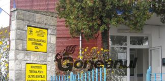 Nereguli depistate de DSVSA Gorj: Amenzi de aproximativ 35.000 de lei