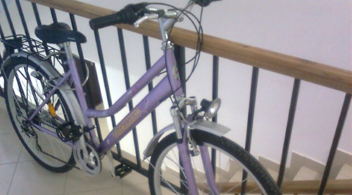 Adolescenți din Târgu-Jiu și Vladimir, reținuți pentru 24 de ore