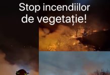 Tragedie la Roșia de Amaradia! Bătrân mort într-un incendiu de vegetație uscată