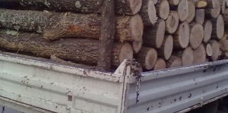 Mașină încărcată cu lemne, abandonată în Bălănești