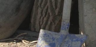 Arestat după ce și-a lovit vecinul cu lopata în cap