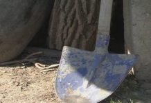 Tânăr din Stejari, în stare gravă, după ce a fost lovit cu lopata în cap