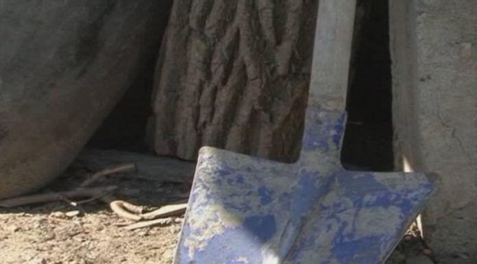 Tânăr din Stejari, în stare gravă, după ce a fost lovit cu lopata în cap