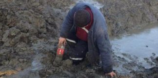 Minerii ar putea ieși la pensie la 55 ani. Deputat: E o problemă!