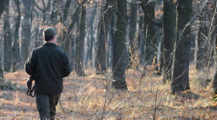 Silvicutorii ies în stradă