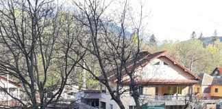 Poliția, în control la depozite de cherestea din Padeș