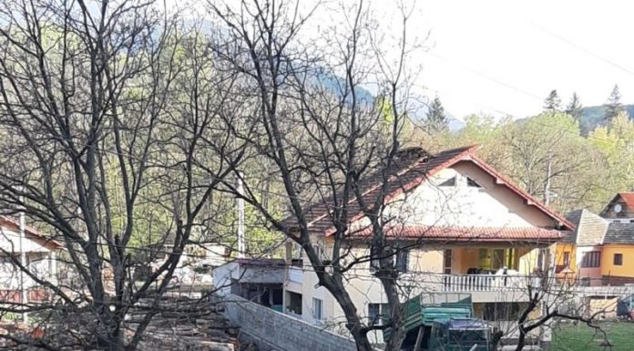 Poliția, în control la depozite de cherestea din Padeș