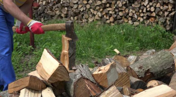 Ameninţări după 50 de ani de relaţie: „Îţi tai gâtul şi ţi-l pun în gard!”