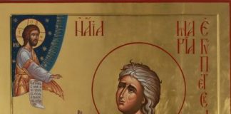 Lumina, şi Adevărul, şi Viaţa – Dumnezeu ne dăruieşte chipul pocăinţei şi ne arată, cât de bineplăcută este înaintea Sa, căinţa cea adevărată!