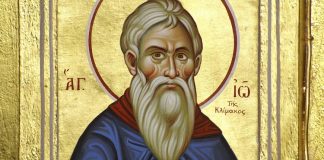 Lumina, şi Adevărul, şi Viaţa – Dumnezeu ne arată că că fiecare om este o istorie de iubire «scrisă» de către Mântuitorul Iisus Hristos pe acest pământ!