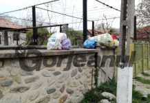 Firma unui milionar bucureştean va ridica gunoiul din Gorj