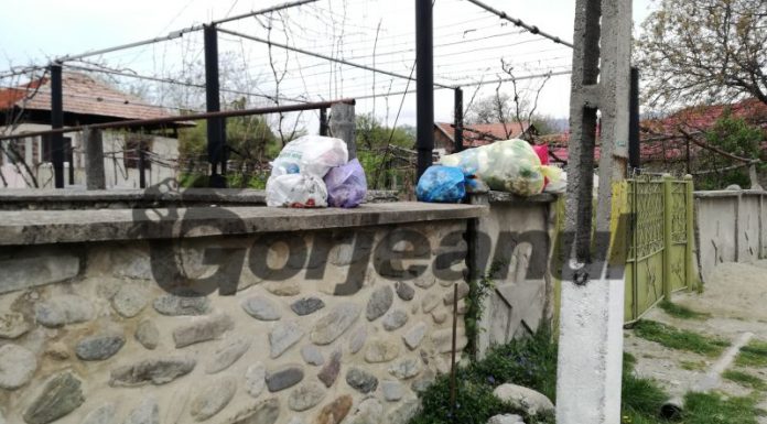 Firma unui milionar bucureştean va ridica gunoiul din Gorj