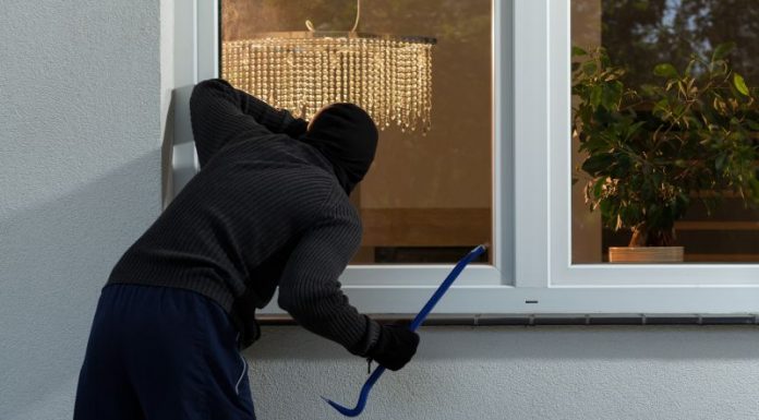 Gorjeanul care a speriat Austria. A dat 300 de spargeri!