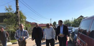 Deputatul Vîlceanu, în campanie în târgul de la Peșteana!