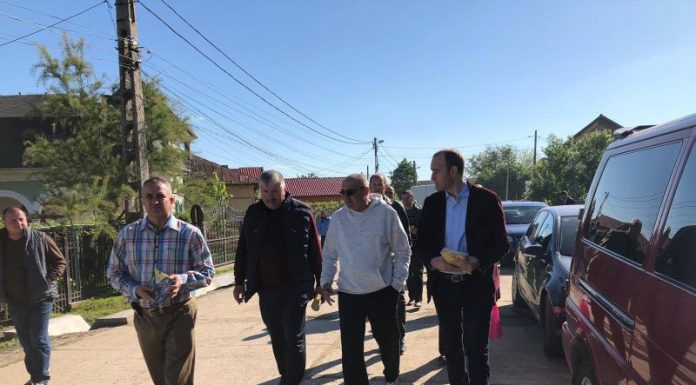 Deputatul Vîlceanu, în campanie în târgul de la Peșteana!