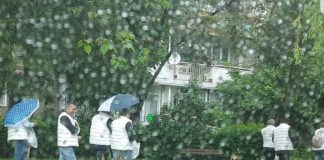 Candidații Pro România, la Motru