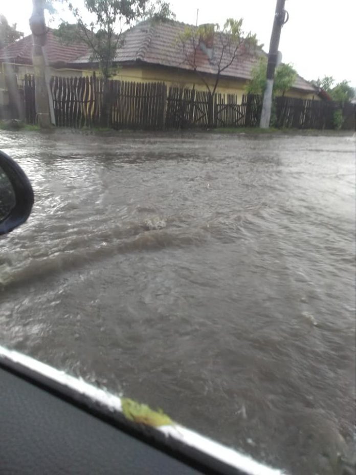 60341716_2121304321240313_5379807165169008640_n