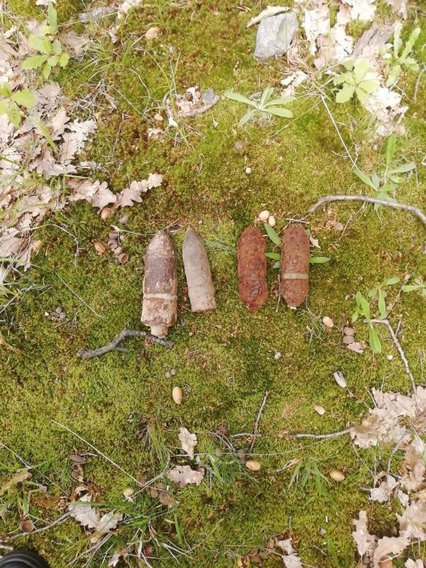 60527679_2073251046107037_2661472486075400192_n