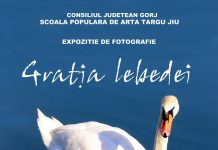 Astăzi, vernisajul expoziției de fotografie la Muzeul Județean Gorj