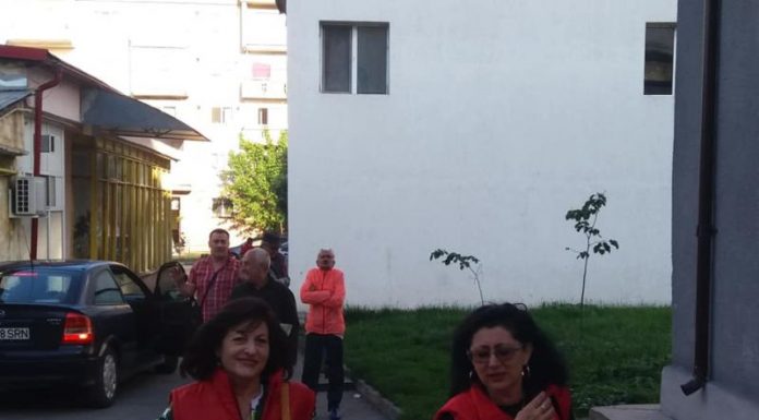 Deputatul Elvira Șarapatin și secretarul de stat Maioreanu, activi în campanie