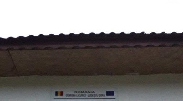 Punctele sanitare din Licurici și Totea, fără apă și cu grupuri sanitare EXECRABILE! DSP Gorj i-a amendat pe soții Hurezanu și au închis ambele unități