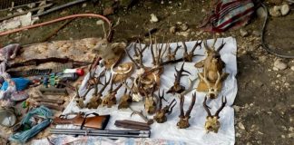 Percheziție la Licurici! Tată și fiu, în arest