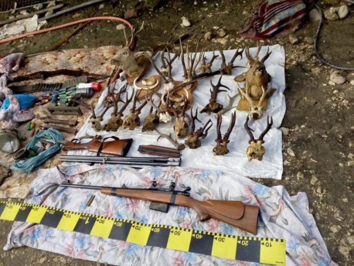 61449453_463371674411012_4682416428916146176_n