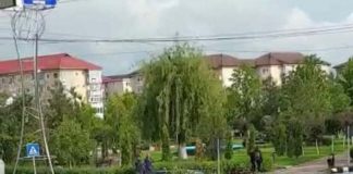 Pro România Gorj a câștigat două comune și un procent de 10,02%! La Motru, organizația lui Ponta a luat 7,36% și a depășit chiar și scorul partidului de la Iași