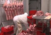 Bilanţ ulterior Paştelui: Carmangerii, măcelării şi alte unităţi din judeţ, amendate cu peste 75.000 de lei!