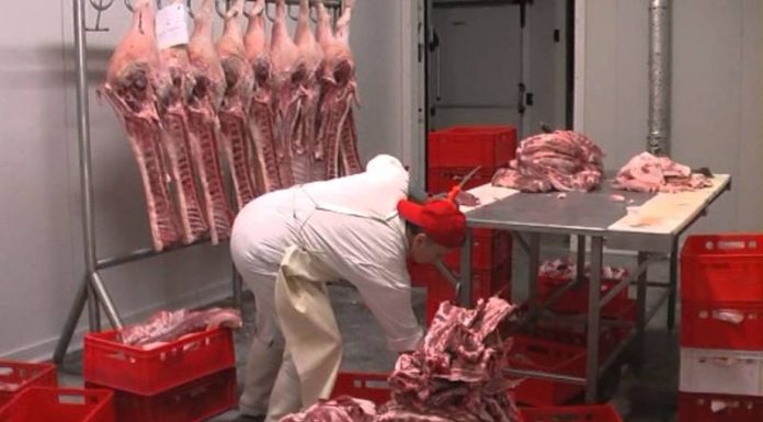 Bilanţ ulterior Paştelui: Carmangerii, măcelării şi alte unităţi din judeţ, amendate cu peste 75.000 de lei!