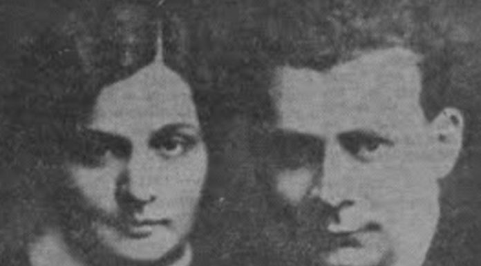 Despre „jurnalele” Corneliei Blaga – Brediceanu (I)