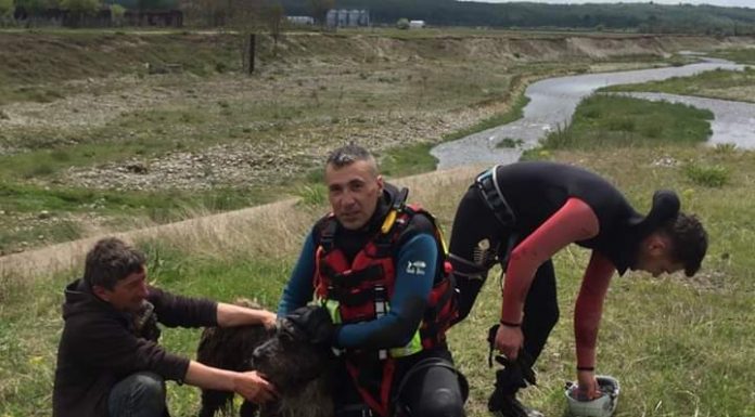 Salvat din râul Sohodol de către salvamontiștii gorjeni