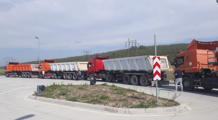 Șoferii a 4 autoutilitare, depistați în trafic cu asigurare RCA falsă! Dosar penal și amendă record!