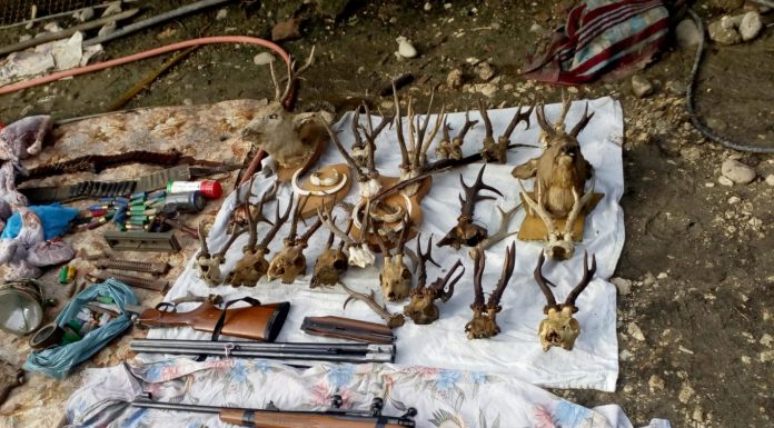 FOTO: Percheziție la Licurici