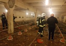 FOTO/ VIDEO: 16.000 de pui de o zi au murit într-un incendiu izbucnit la o hală