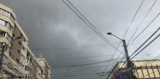 Cod galben de ploi și inundații pe râurile din județ!